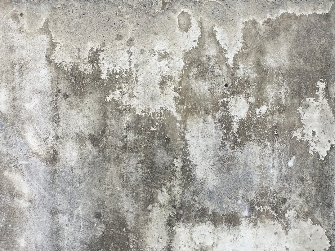 Essential Maintenance Tips for Concrete Formwork Plywood