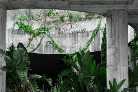 Maintaining and Caring for Concrete Formwork Plywood: Your Essential Guide