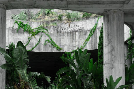 Mastering Concrete Formwork Plywood Thickness
