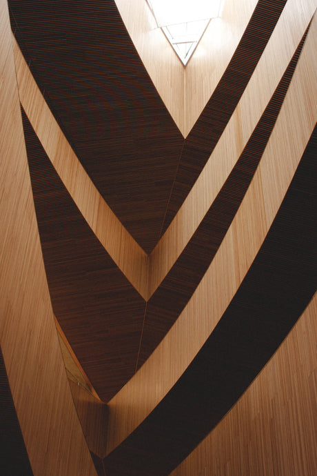 Explore Regional Differences in Plywood Formwork Standards