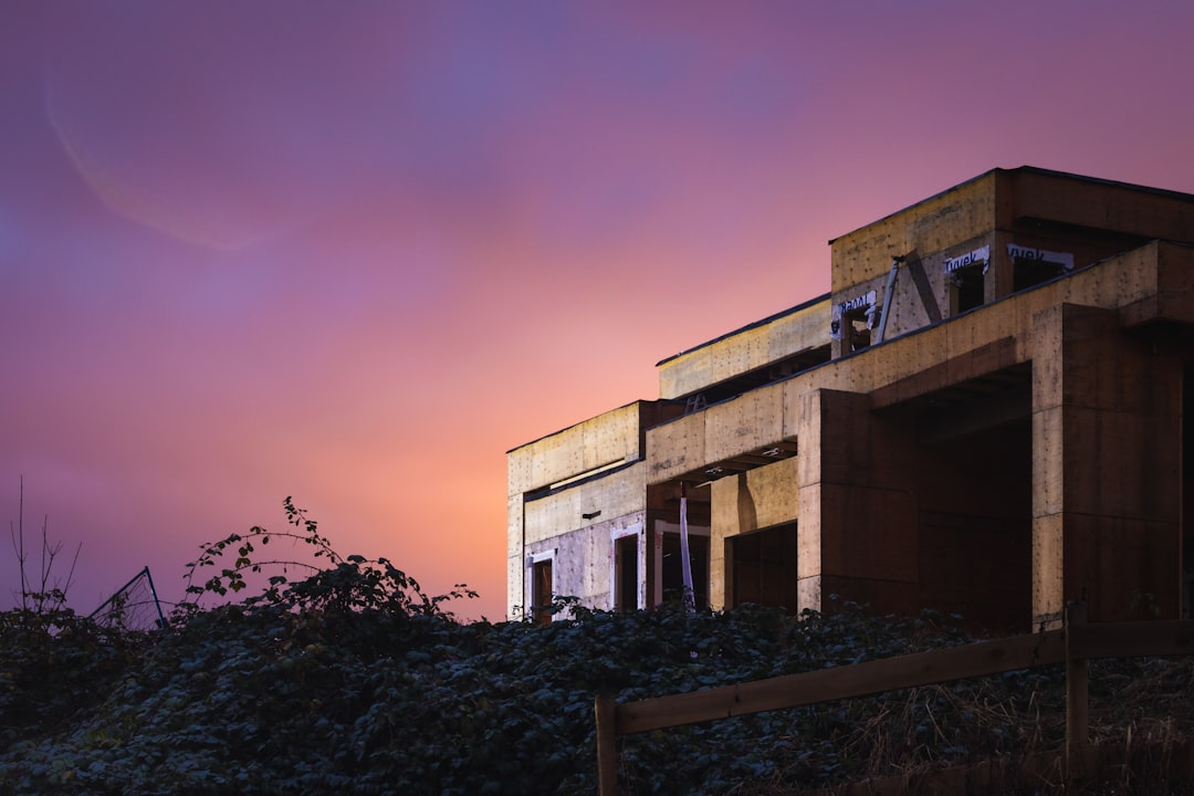The Unsung Hero of Construction: The Role of Plywood in Modern Constru ...
