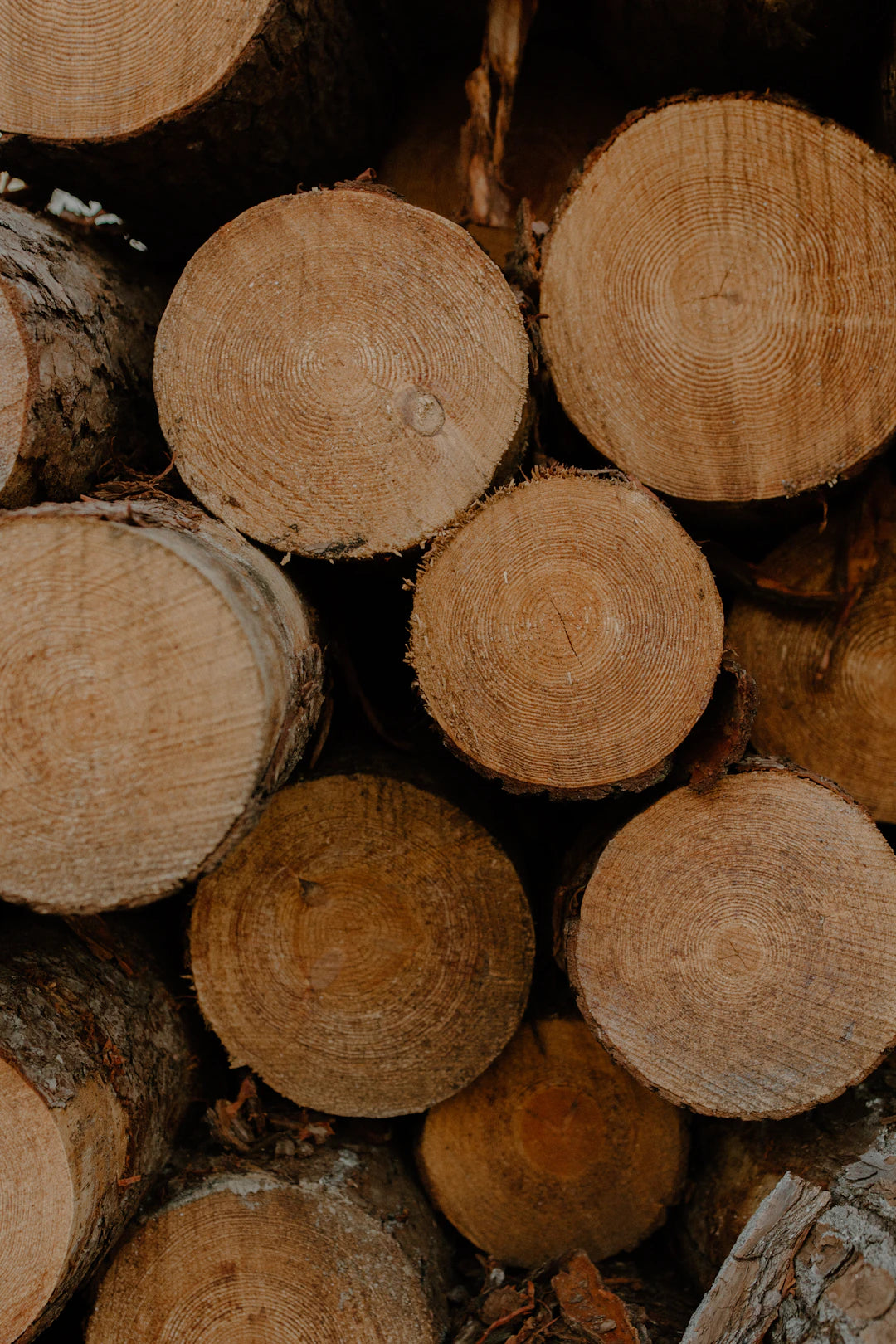 Sustainable Alternatives to Traditional Plywood for Formwork