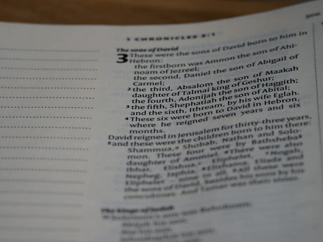 The Importance of Training for Skilled Formwork Installers