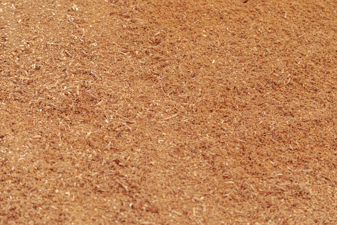 The Fascinating Role of Plywood in Cultural Construction