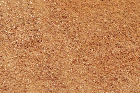 The Fascinating Role of Plywood in Cultural Construction