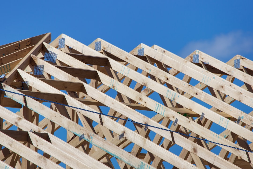 The Unsung Hero of Eco-Friendly Building: The Role of Plywood in Sustainable Construction