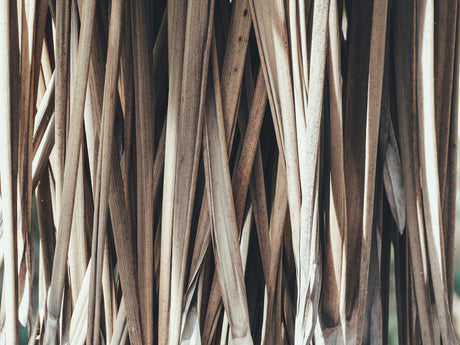 Debunking Common Myths About Concrete Formwork Plywood