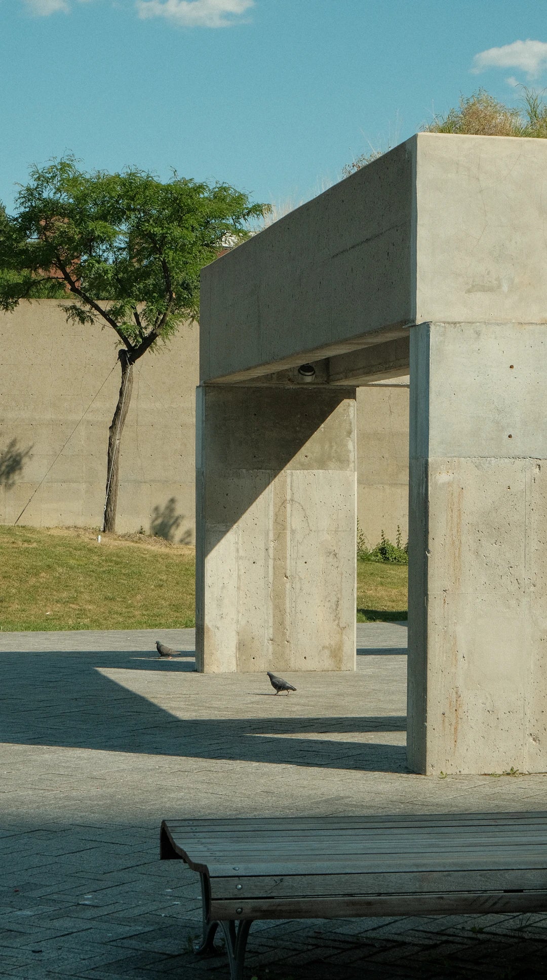 Essential Safety Tips for Concrete Formwork Plywood Use