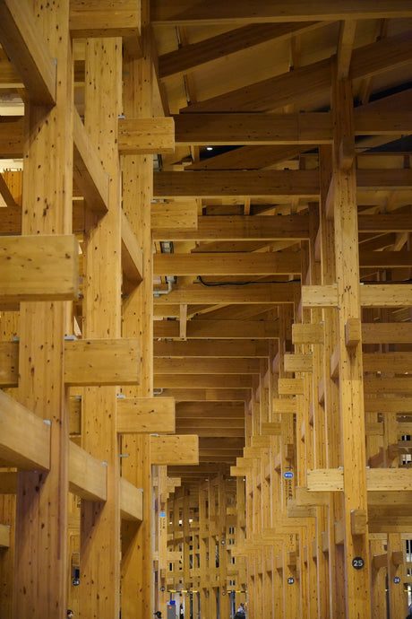 The Role of Plywood in Sustainable Construction